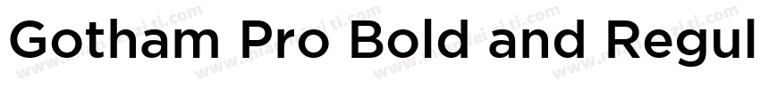 Gotham Pro Bold and Regular字体转换